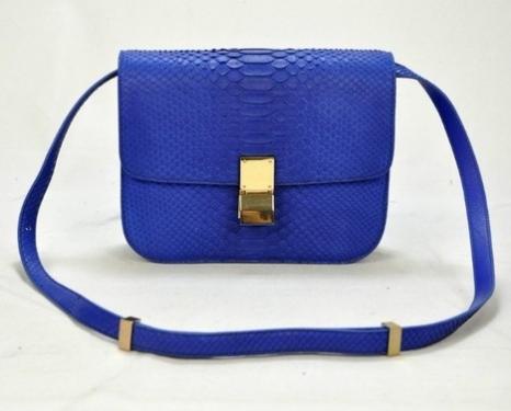 Blue Python Leather Goods
